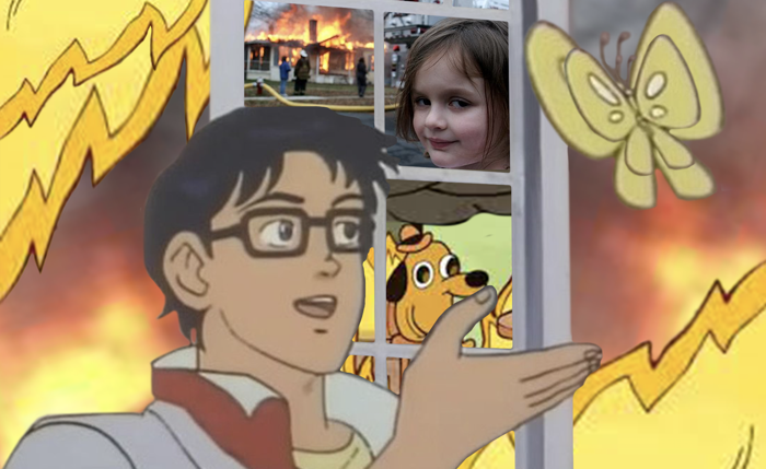 Yes, Those 'Memes' You Keep Hearing About Are Art | The Harvard Crimson
