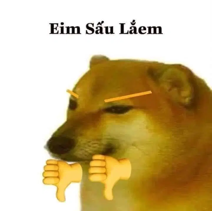Sự thật về chó shiba béo mầm bị cả thế giới chế ảnh cười cợt