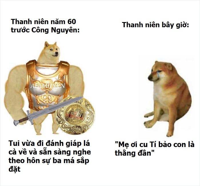 Sự thật về chó shiba béo mầm bị cả thế giới chế ảnh cười cợt