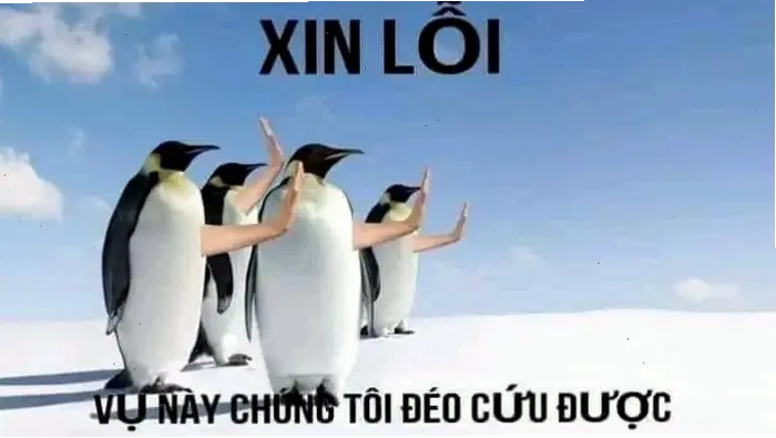 Tổng hợp 1544+ Meme Hết Cứu: Biểu Cảm "Bó Tay" Độc Đáo 2026