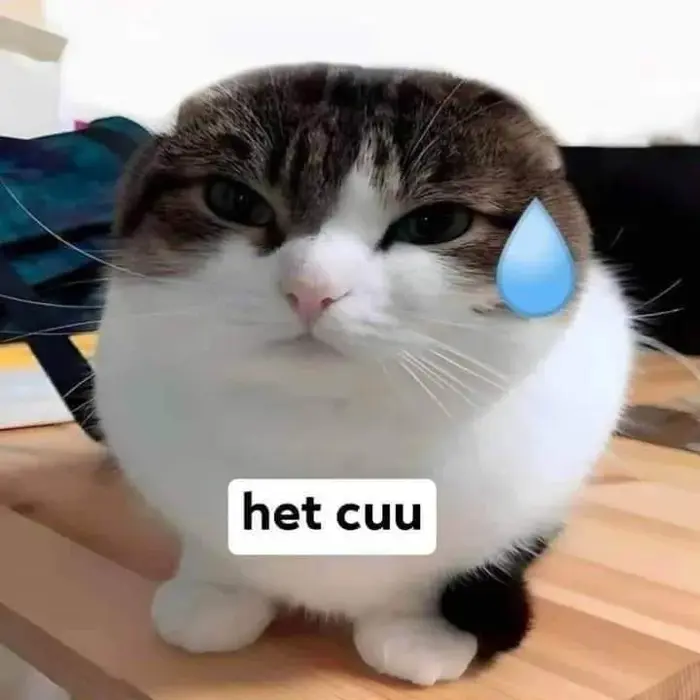 Tuyển Tập 99+ Meme Bó Tay Bá Cháy Dành Cho Team Bất Lực