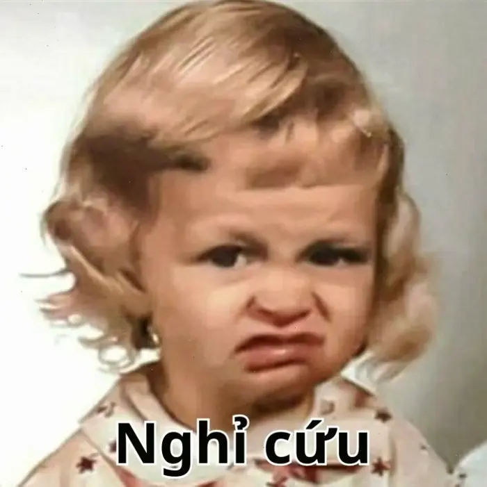 Tổng hợp 1544+ Meme Hết Cứu: Biểu Cảm "Bó Tay" Độc Đáo 2026