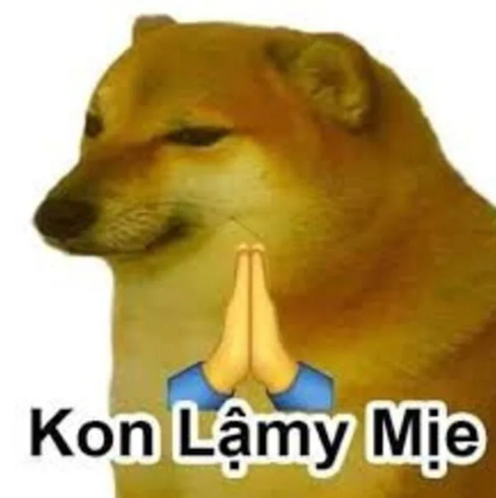 Tổng Hợp 99+ Meme Lạy, Quỳ Lạy Siêu Hài Hước Cho Dân Mạng