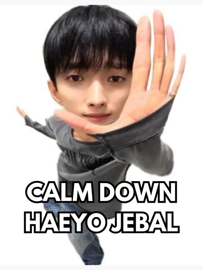 Funny Seventeen Meme - DK Calm Down