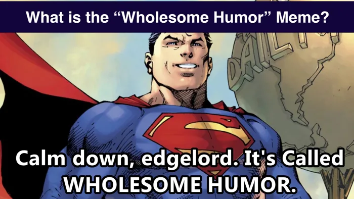 The 'Calm Down Edgelord, It's Called Wholesome Humor' Meme Explained | Know  Your Meme