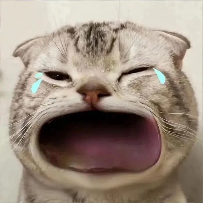 meme-cat-cry-1