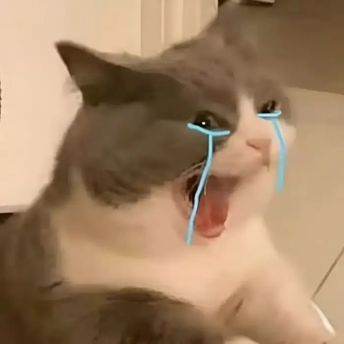 Tải ngay loạt ảnh cry meme hot trend khiến bạn cười đau bụng