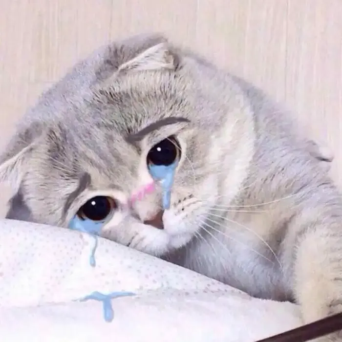 Tải ngay loạt ảnh cry meme hot trend khiến bạn cười đau bụng