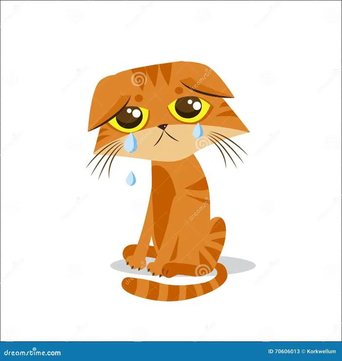 Sad Crying Cat. Cartoon Vector Illustration. Crying Cat Meme. Cat Face  Stock Vector - Illustration of character, design: 70606013