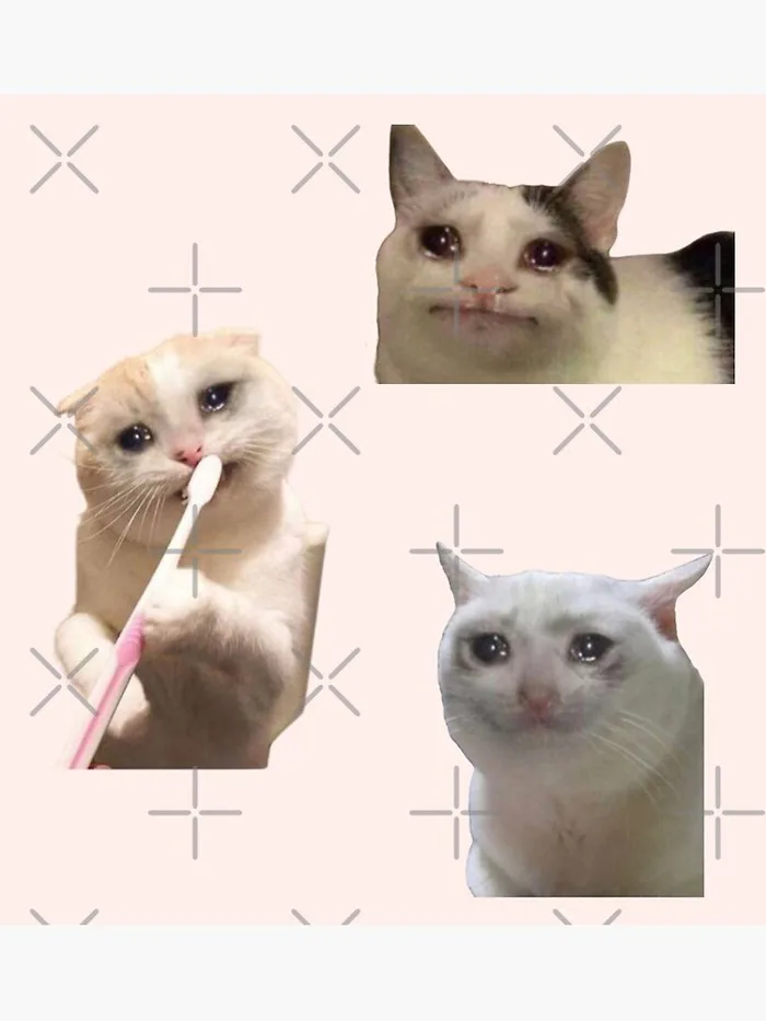 crying cat meme (set 2) pack
