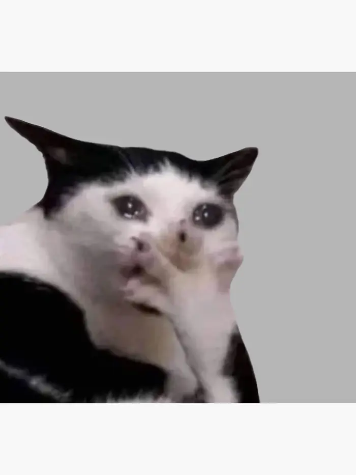 crying cat meme
