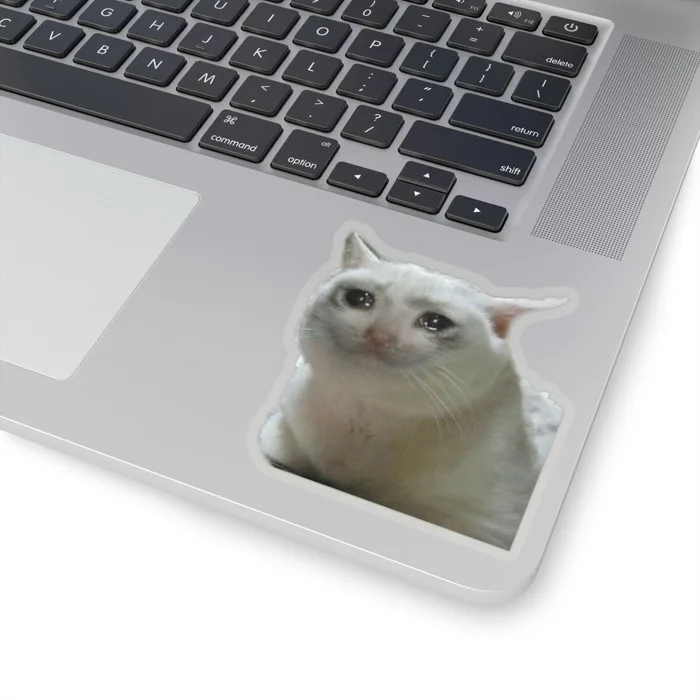 Personalize Your Laptop with Adorable Crying Cat Meme Laptop Stickers | eBay