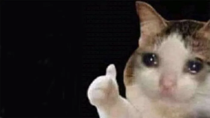Thumbs Up Crying Cat | Know Your Meme
