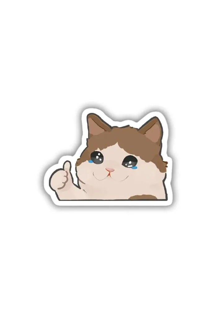 Crying-thumbs up Cat Meme Sticker, Posterwa