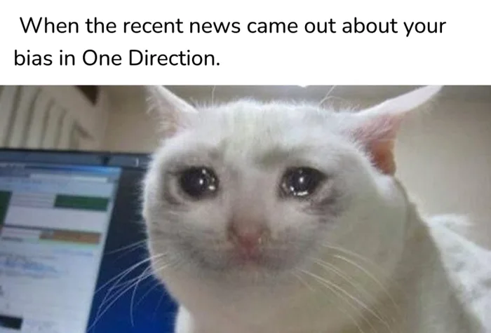 Crying Cat Meme Maker — Kapwing