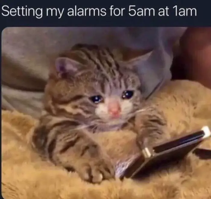 Hilarious Crying Cat Memes We Totally Relate To