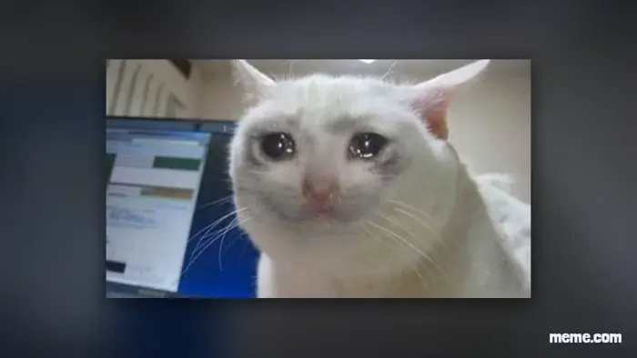 Crying Cat Meme: Origin, Spread, and Meaning Explained