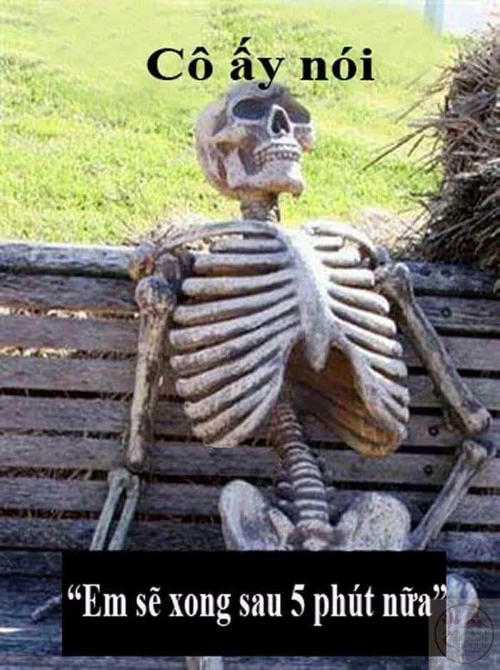 Meme Chờ Đợi ⏳ Tổng Hợp Ảnh Chế Chờ Đợi Hài Hước
