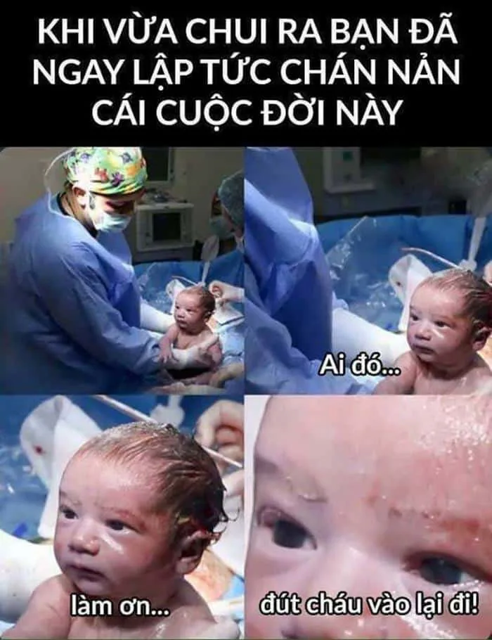 Meme Chán Nản, Chán Quá [66+ Meme Chán Không Buồn Nói]