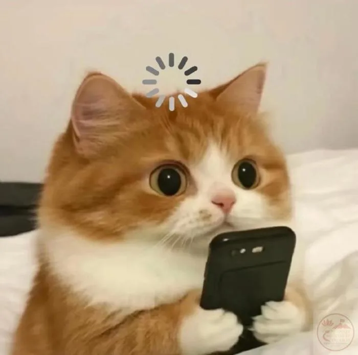 Meme Chờ Đợi ⏳ Tổng Hợp Ảnh Chế Chờ Đợi Hài Hước