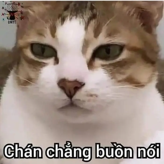 168+ Meme Chán Chán Đời Chán Nản ảnh chế siêu hài
