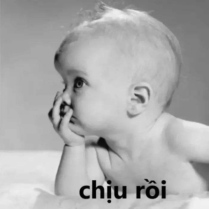 70+ Meme Chán Đời, chán nản chả buồn nói phản ánh đúng áp lực và mệt mỏi  hiện tại