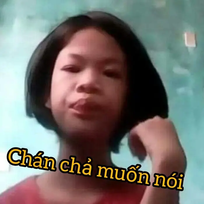 Tuyển tập ảnh meme tóc ngắn độc đáo nhất cho dân mạng