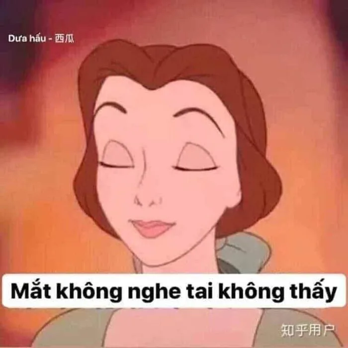 Chơi chữ | Lời trích vui nhộn, Hình biểu cảm, Ảnh chế meme