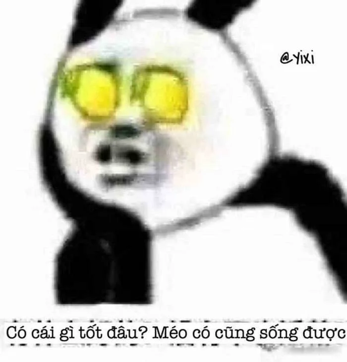 Meme Che Mắt Ngầu [Top Các Ảnh Chế Hài Hước Siêu Cute]