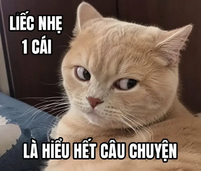 143+ Meme Liếc Lườm liếc xéo cà khịa ảnh chế siêu hài