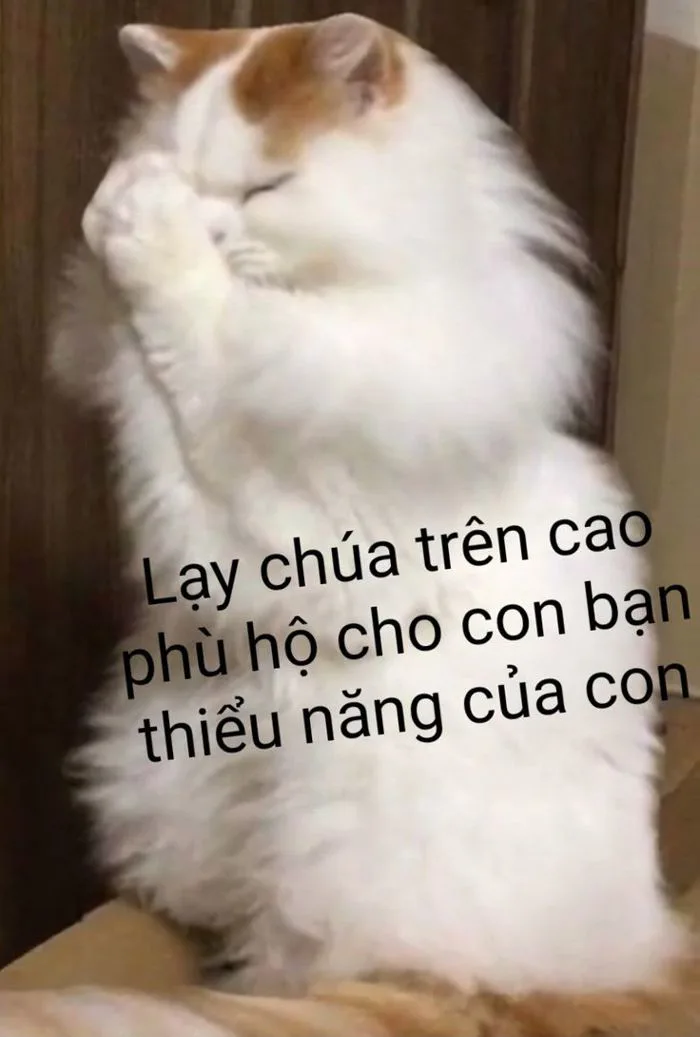 Lạy chúa