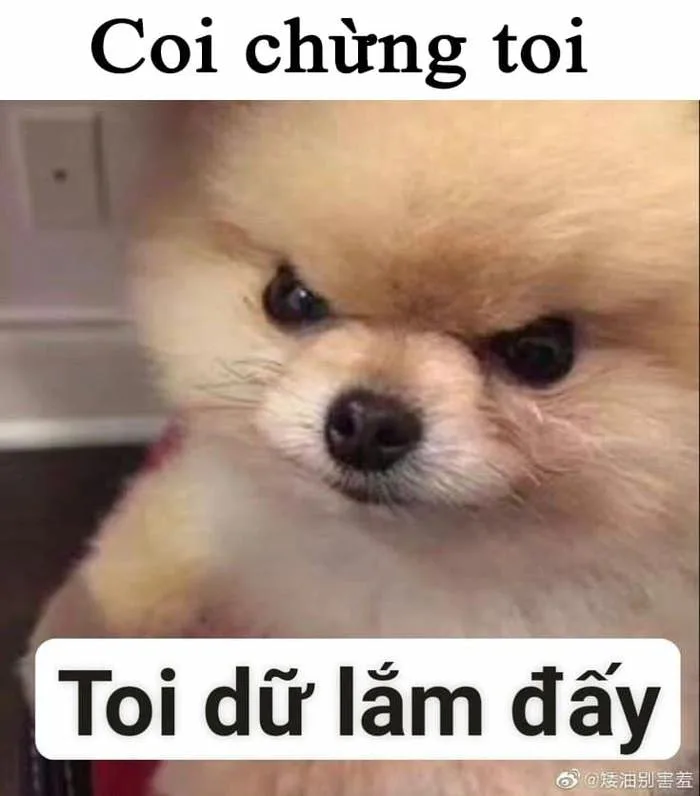 meme-coi-chung-tao-1