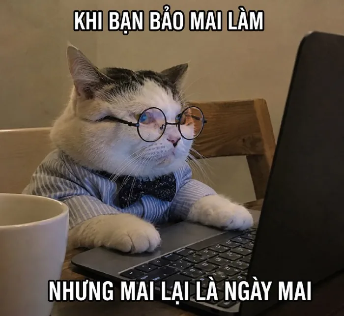 188+ Ê meme - thái độ siêu chất ảnh chế cười đau bụng 188+ Ê meme - thái độ siêu chất ảnh chế cười đau bụng