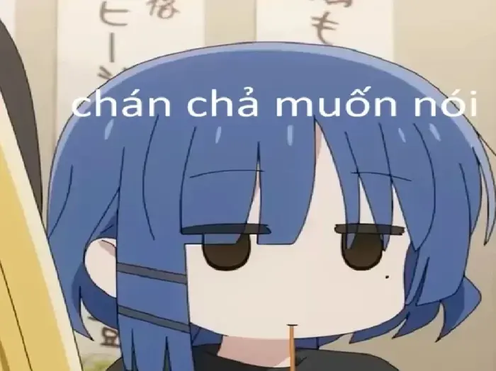 144+ Meme Cạn Lời bất lực con mèo cực hài hot 144+ Meme Cạn Lời bất lực con mèo cực hài hot