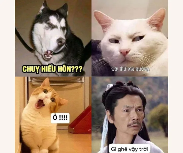 Bộ sưu tập ảnh meme hài hước nhất hiện nay Bộ sưu tập ảnh meme hài hước nhất hiện nay