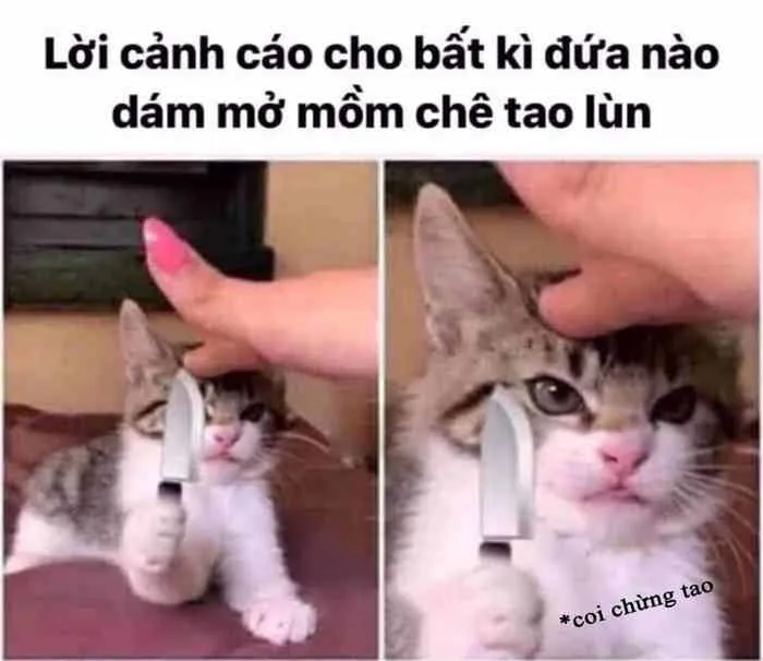Meme Coi Chừng Tao Hài Hước [Chùm Ảnh Chế Bá Đạo]