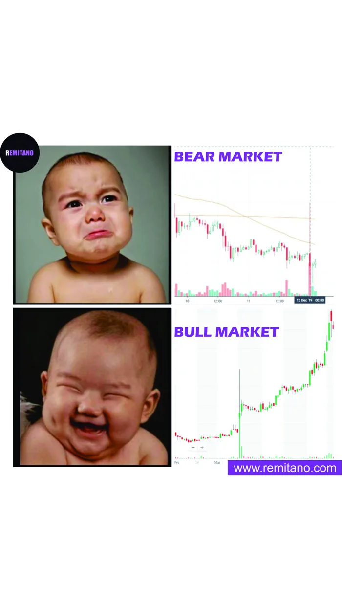 Crypto Meme] Market Reaction