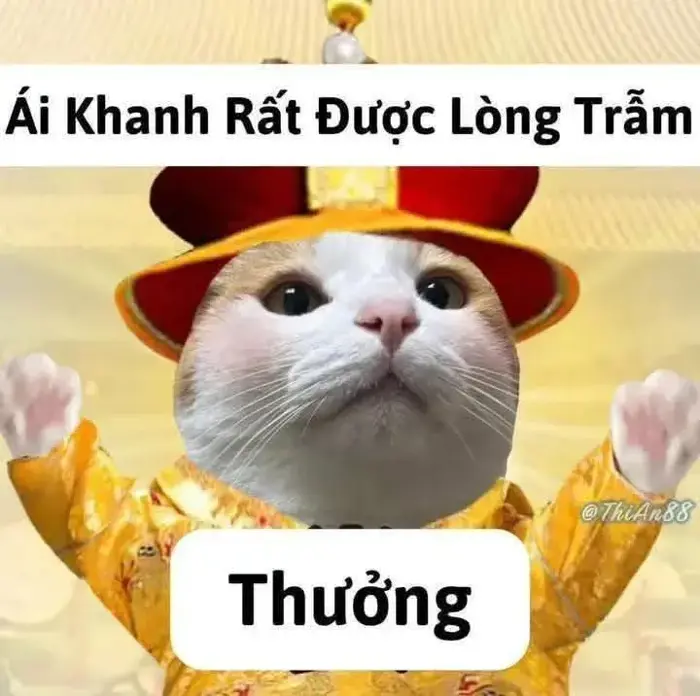 Story » 80+ ảnh chế Meme Cung Đấu Cổ Trang hài hước phù hợp cà khịa trong  
