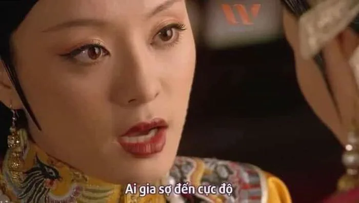 170 Meme Cung đấu ý tưởng | ảnh vui, hài hước, hàu