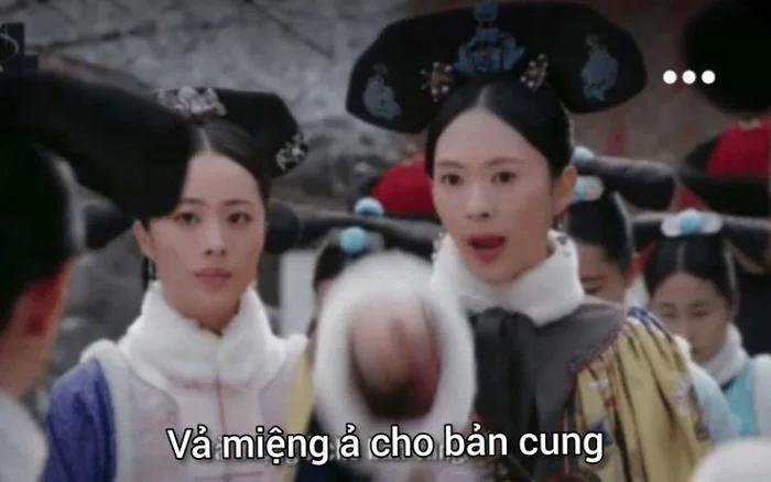 Meme cung đấu | Ảnh hài hước nhất, Ảnh mèo hài hước, Xàm xí
