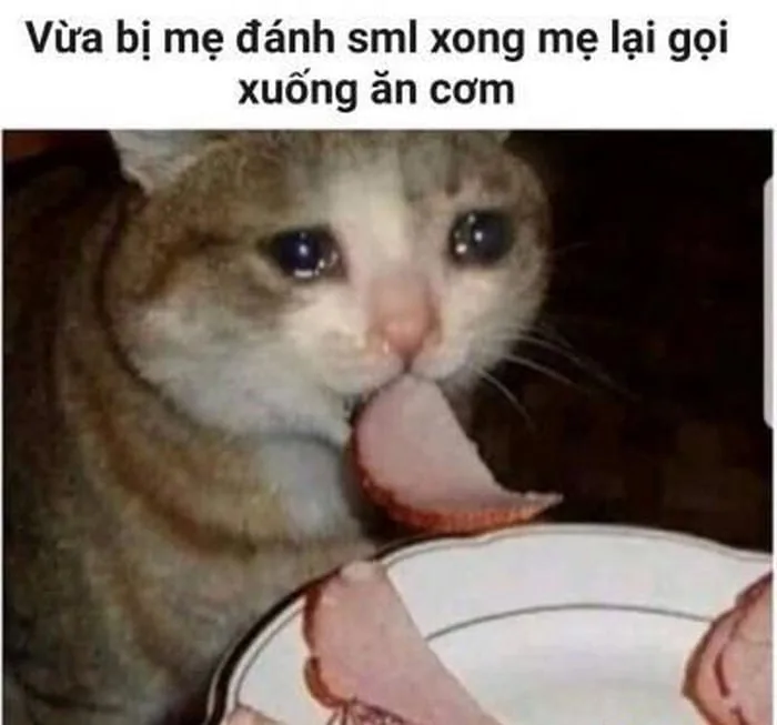 Meme Cười Đểu, Cười Khóc, Cười Nhếch Mép [Cười Nhe Răng]