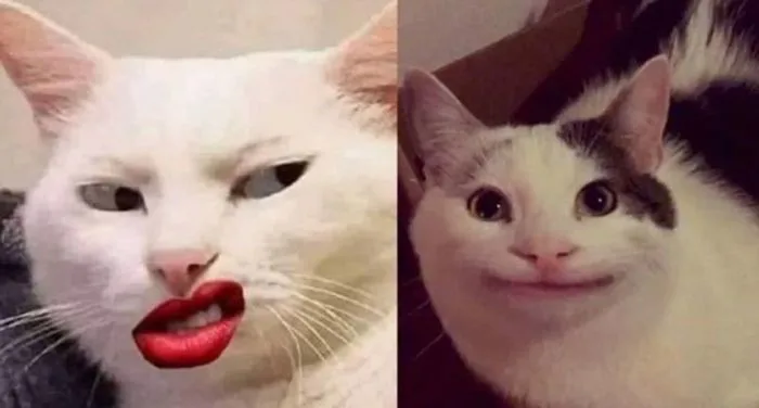 42+ Meme 2 Mặt Khóc Cười Dành Cho Những Ngày Tâm Trạng Nén Lại