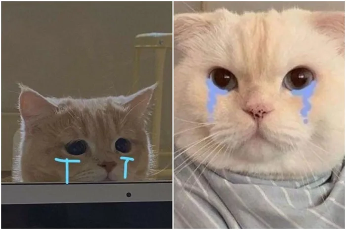 Tổng hợp các meme khóc siêu độc đáo và hài hước