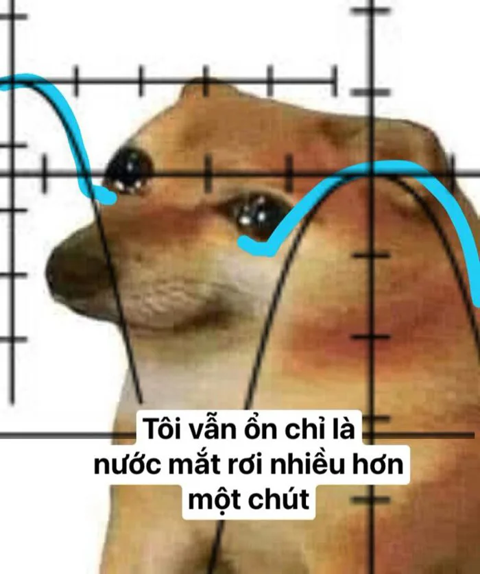 Meme con chó khóc thành hình parabol