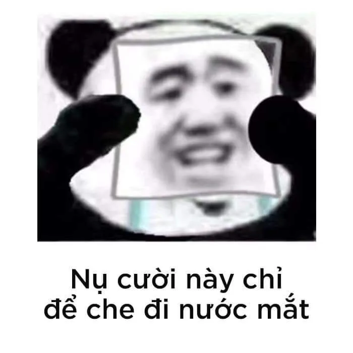 Hình xăm dreamcatcher | Người duy nhất, Hoạt hình vui nhộn, Meme trung