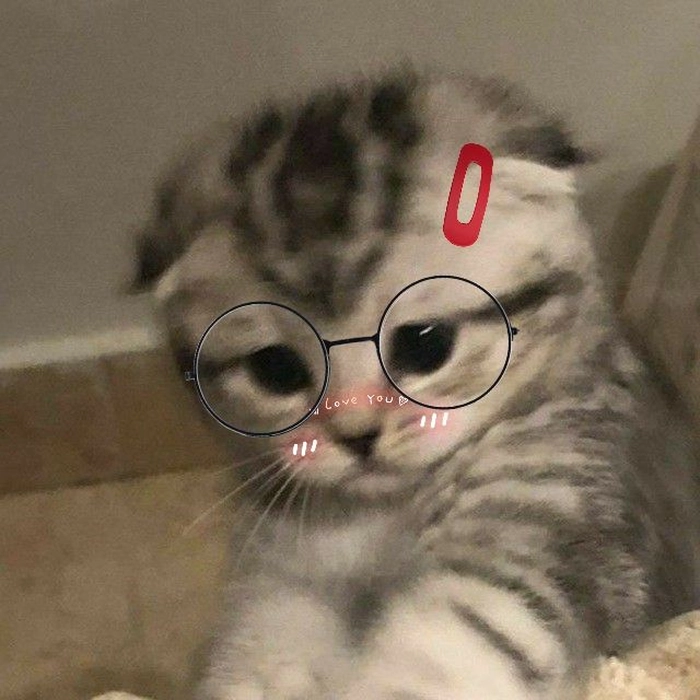 148+ Meme Mèo Đeo Kính ngầu bá đạo dân mạng phát cuồng
