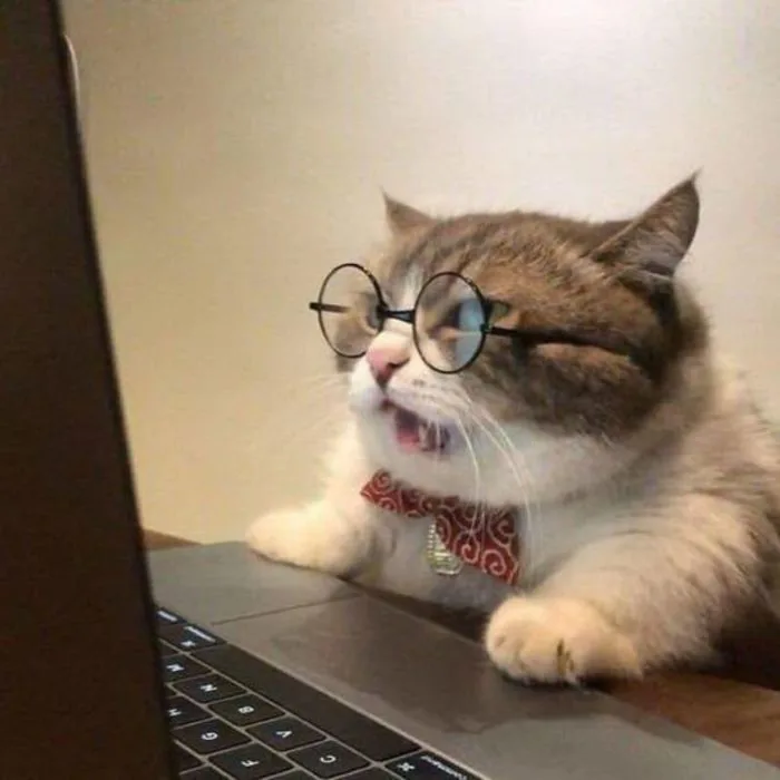 Trọn bộ ảnh Meme Mèo hài hước – Cat Meme bựa nhất (hình gốc)