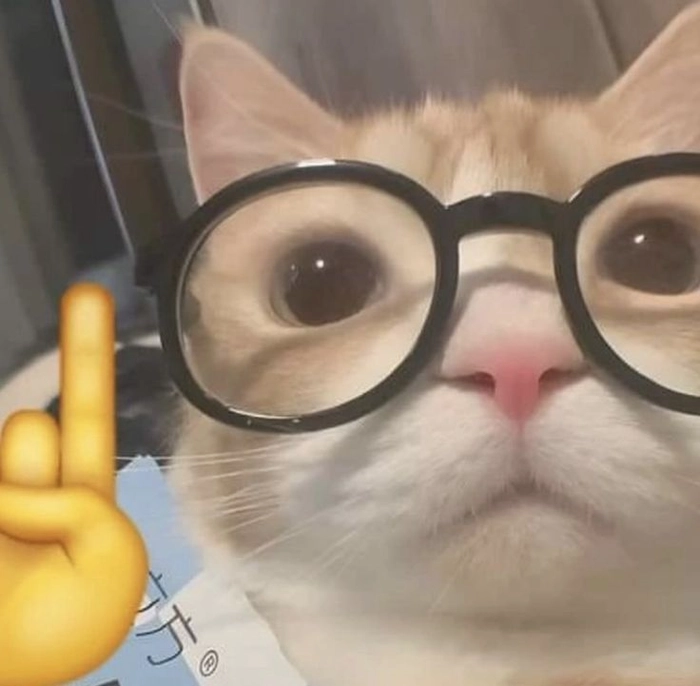 148+ Meme Mèo Đeo Kính ngầu bá đạo dân mạng phát cuồng