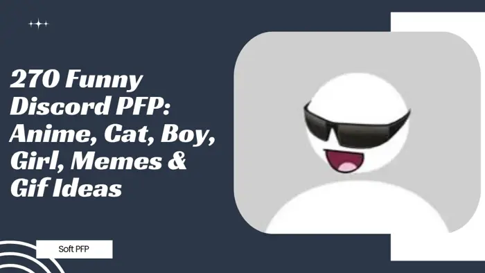 270 Funny Discord PFP: Anime, Cat, Boy, Girl, Memes & Gif Ideas - Soft PFP