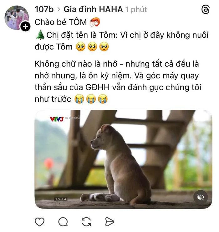 Khán giả xúc động ngày 